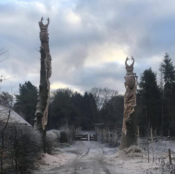 Foto: Sander Boom maakt sierlijke vliegende herten