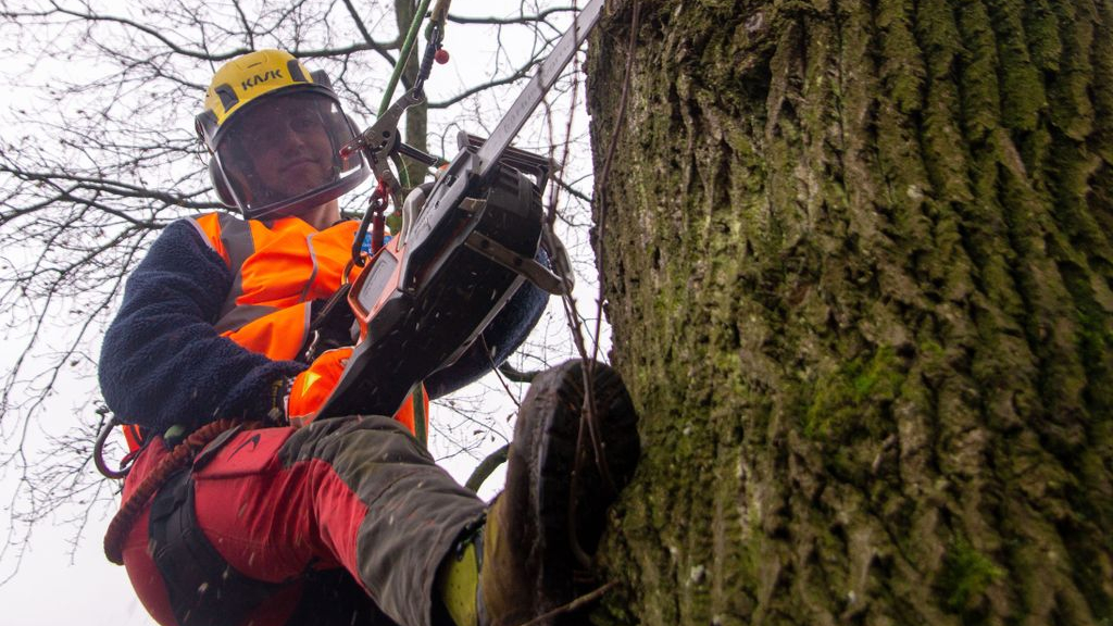 Foto: Medewerker buitendienst in beeld. In gesprek met Alphons Leffring, boomverzorger