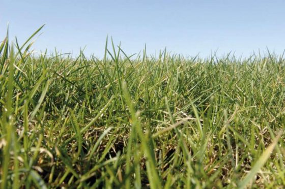 Foto: De schop gaat de grond in; Nunspeet bouwt een nieuwbouwwijk