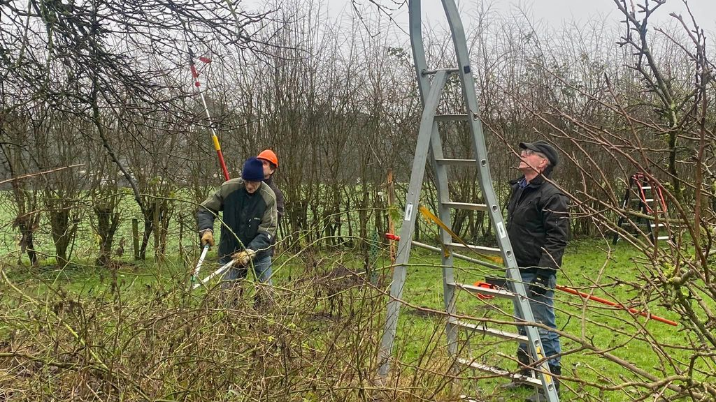 Foto: Groentje is het jaar goed begonnen