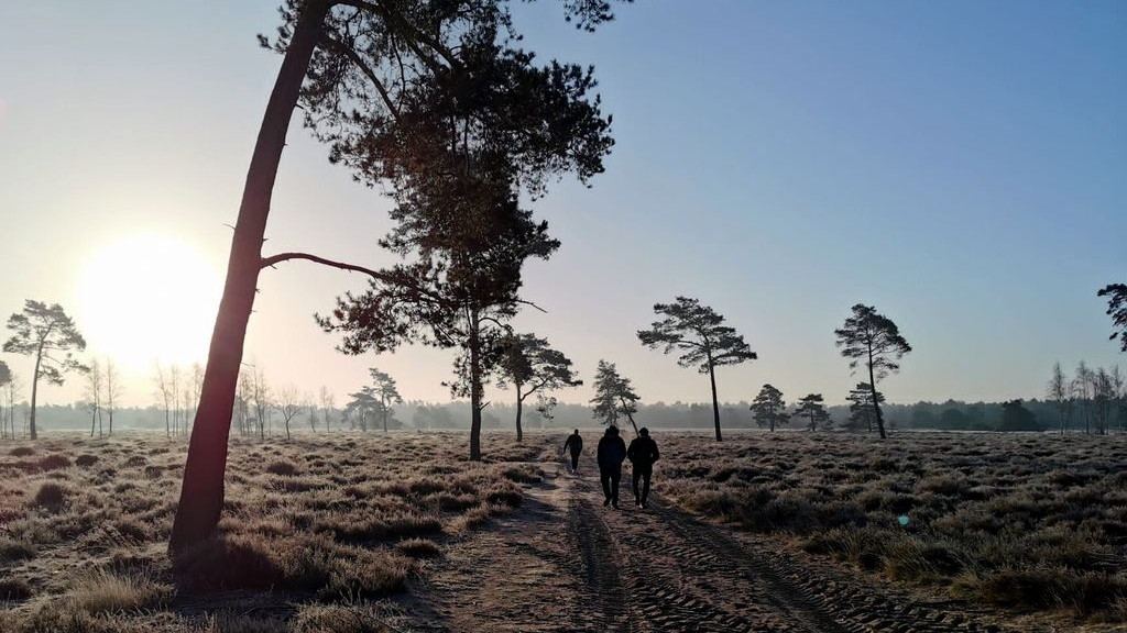 Foto: HENOCH, een wandelgroep voor mannen
