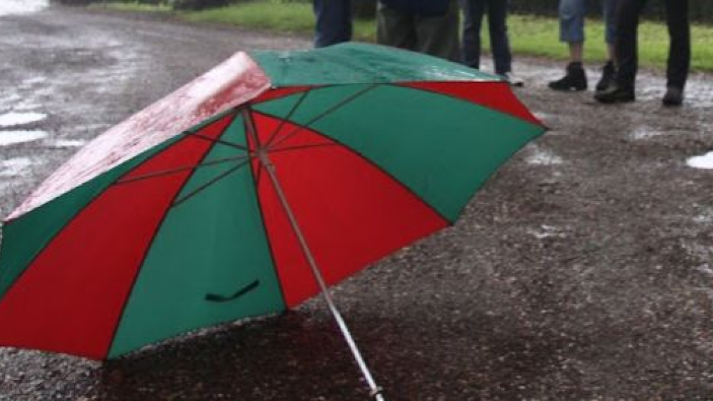 Foto: Kerst verloopt zacht met regelmatig regen
