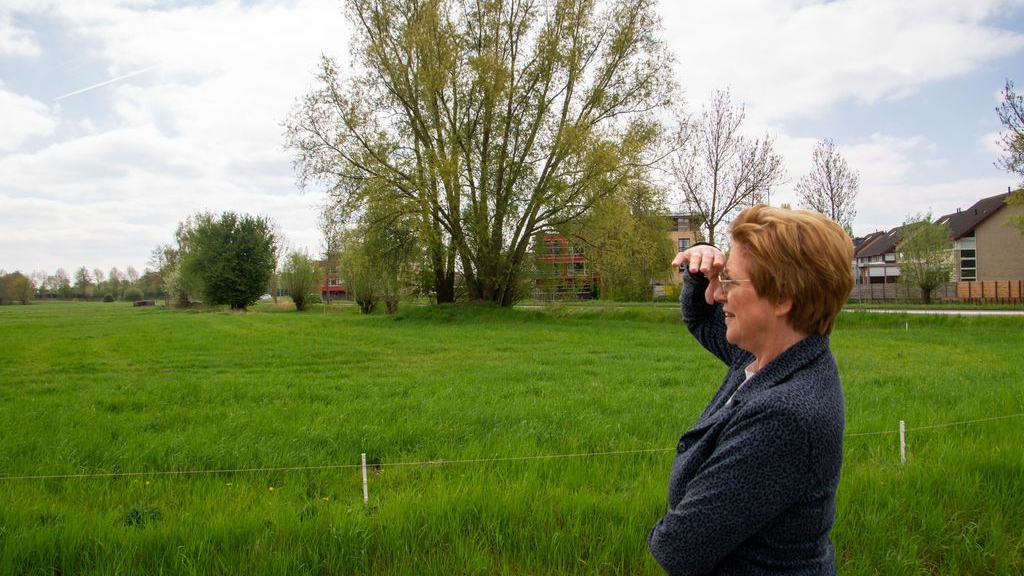 Foto: Weblog: Snel onderdak? - Lyda Sneevliet-Radstaak