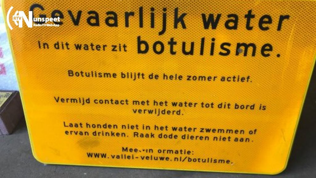Foto: Botulisme in watergangen in Elburg