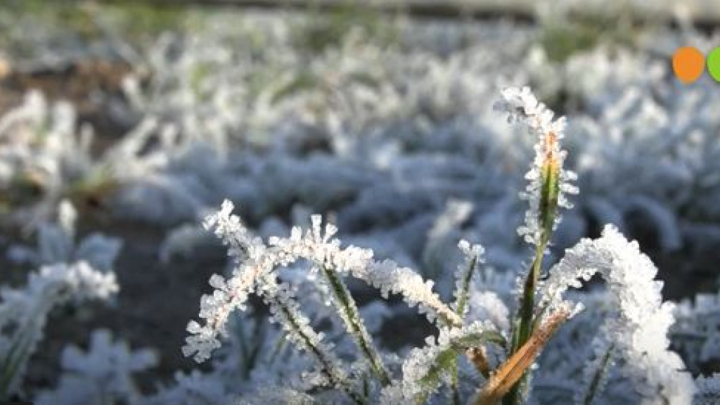 Foto: De eerste vorst in december 2022