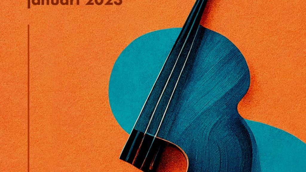 Foto: Speciaal  Strijkersproject bij het Zwols Symfonie Orkest