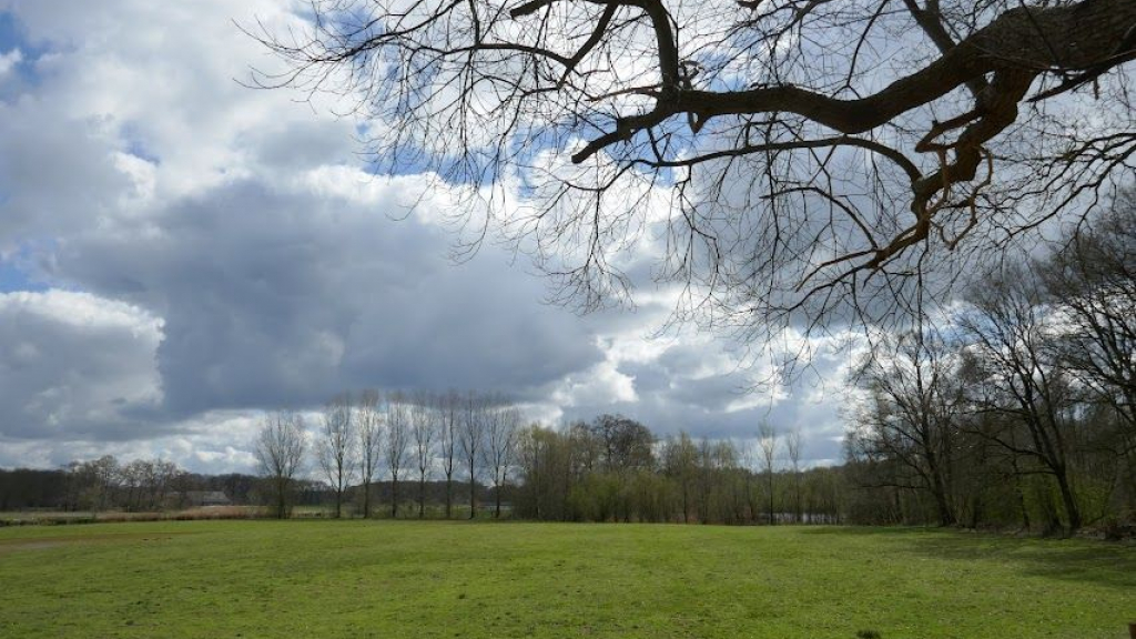 Foto: Stikstofruimte: Terug naar de Veluwe