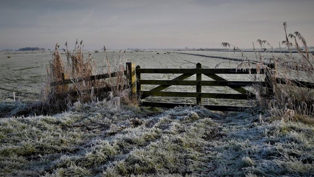 Foto: Toenemende kans op winterse neerslag