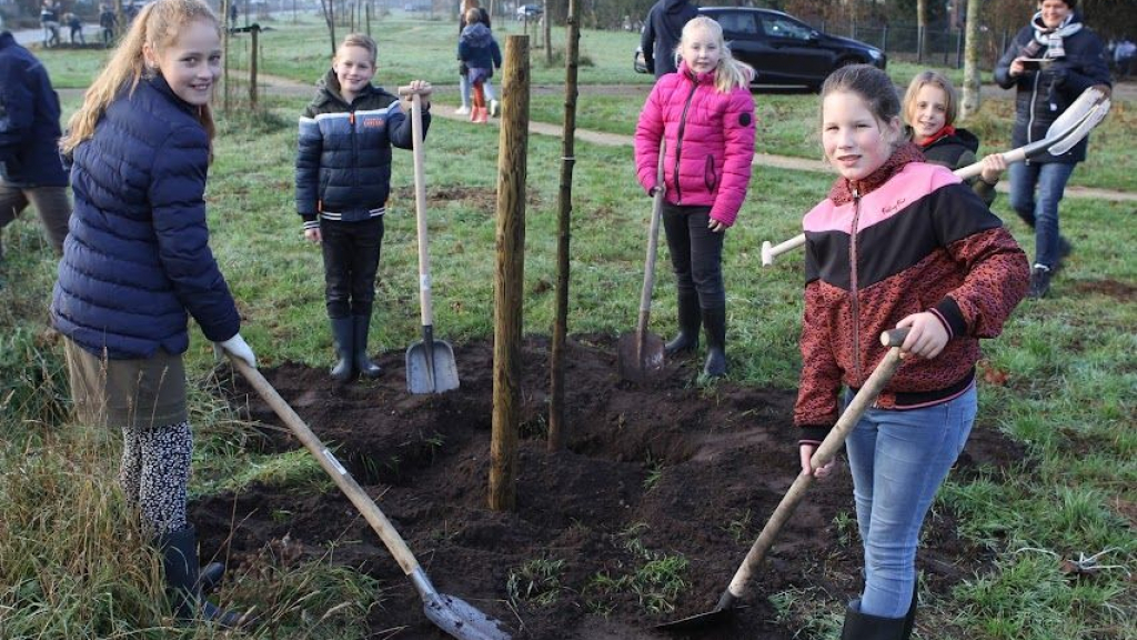 Foto: Boomfeestdag in Wezep