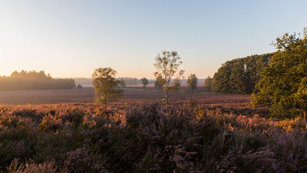 Foto: Snertwandeling, landgoed De Dellen