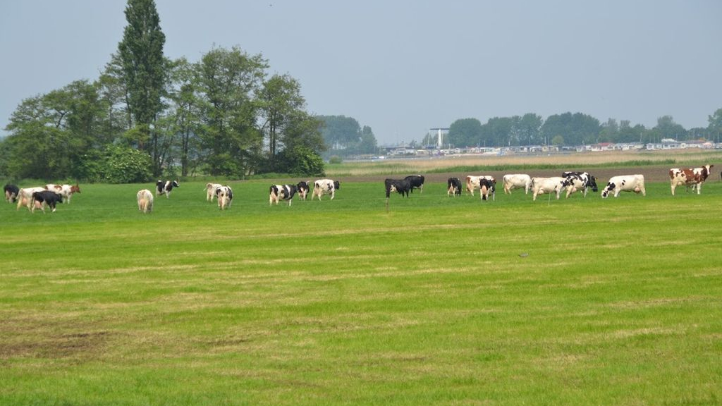 Foto: Gesprek met Joke ten Hove over de informatieavond Waar moet een agrarisch makelaar op letten?
