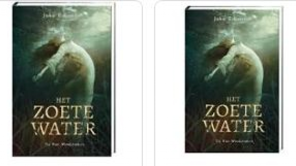Foto: Wezepse Joke Eikenaar is met haar boek Het Zoete Water genomineerd voor Beste boek van Overijssel 2022