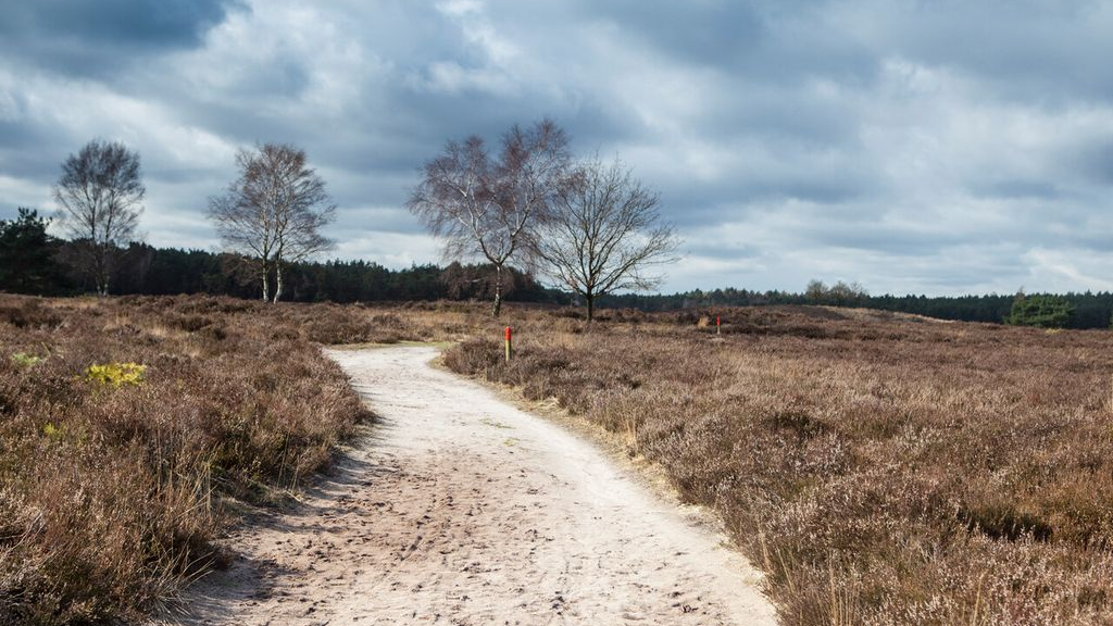 Foto: Kwetsbare natuur, Tongerense Heide