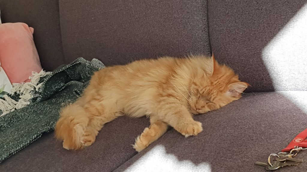 Foto: Wie heeft Bink gezien?