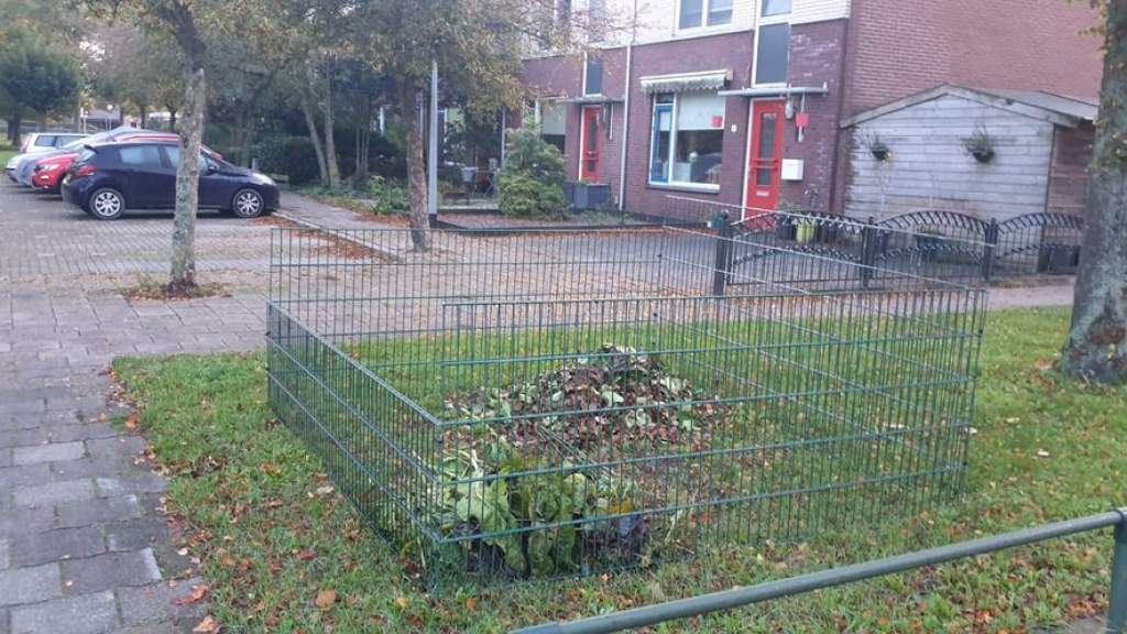 Foto: De bladkorven zijn weer geplaatst