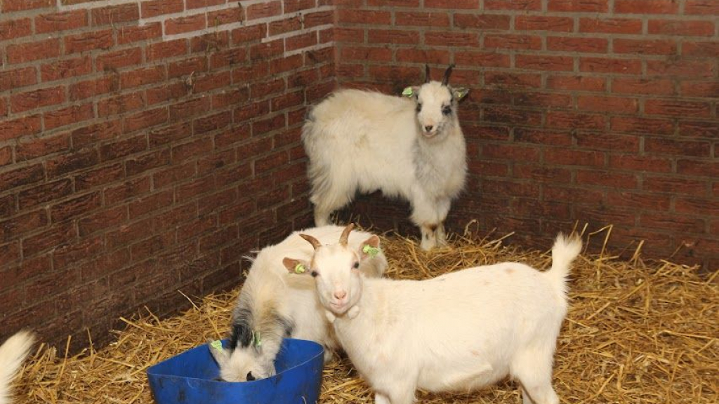 Foto: Goede beoordeling voor zorgboerderij BENJAMIN