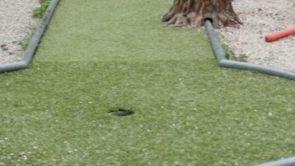 Foto: Glow in the dark bowlen & midgetgolf voor jonge mantelzorgers
