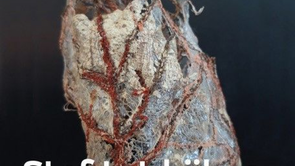 Foto: Expositie “Willeke Klaassen : Stof tot kijken. Kunst van textiel en natuur”