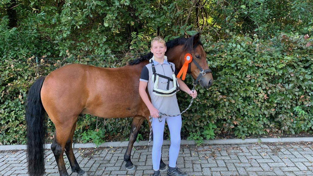 Foto: Eerste prijs voor Sven van 't Ende in de B/D dressuur