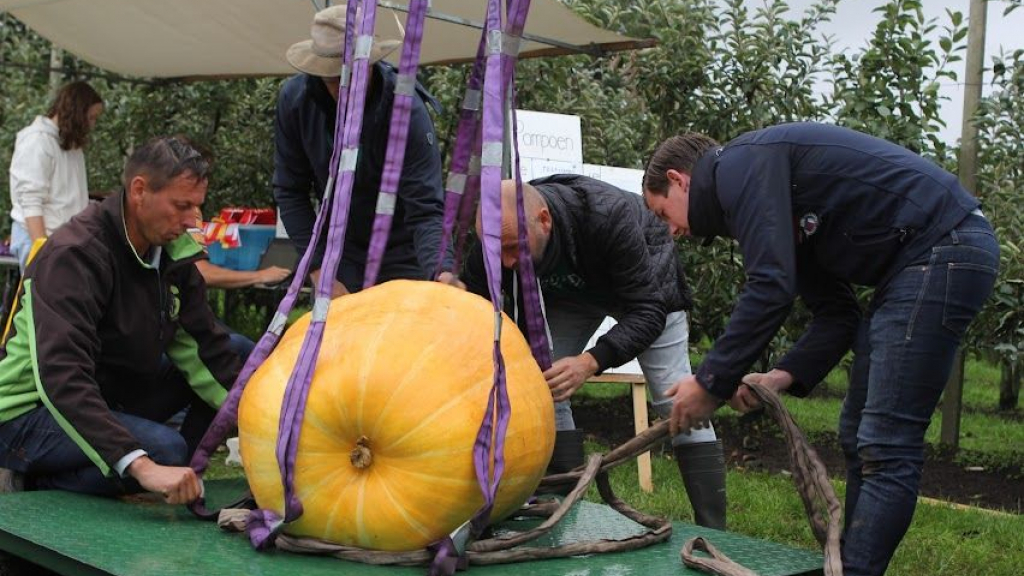 Foto: Pompoenfestival 2022 Oldebroek