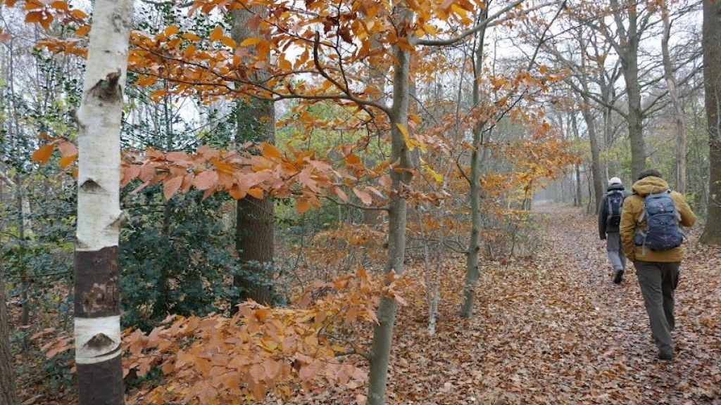 Foto: Herfst barst los na het weekend