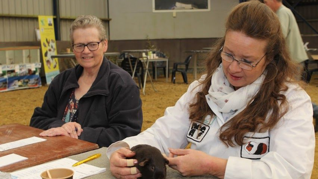 Foto: Een kijkje op de landelijke IJsselvliedtshow van Nut en Sport uit Wezep