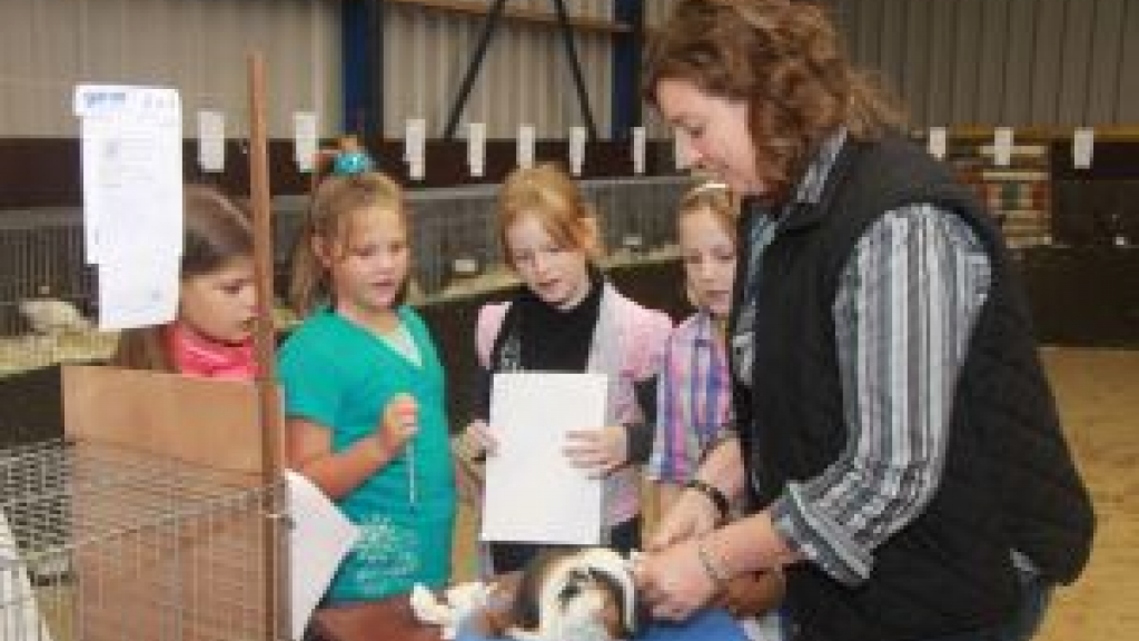 Foto: IJsselvliedtshow Nut en Sport Wezep