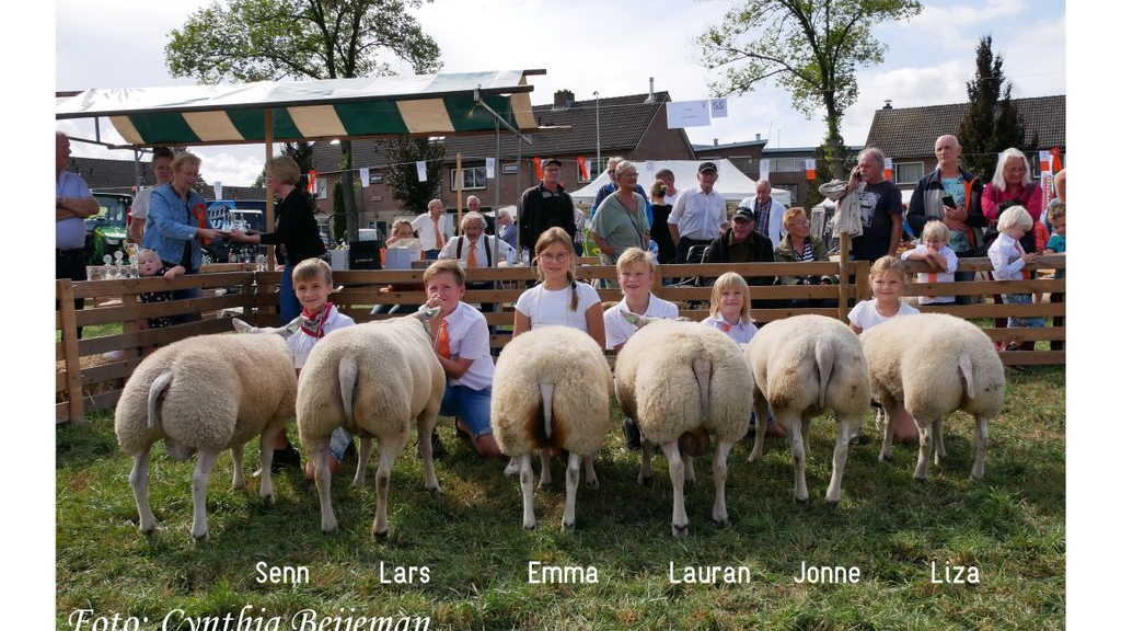 Foto: Geslaagde Texelaarkeuring op de Schapenmarkt