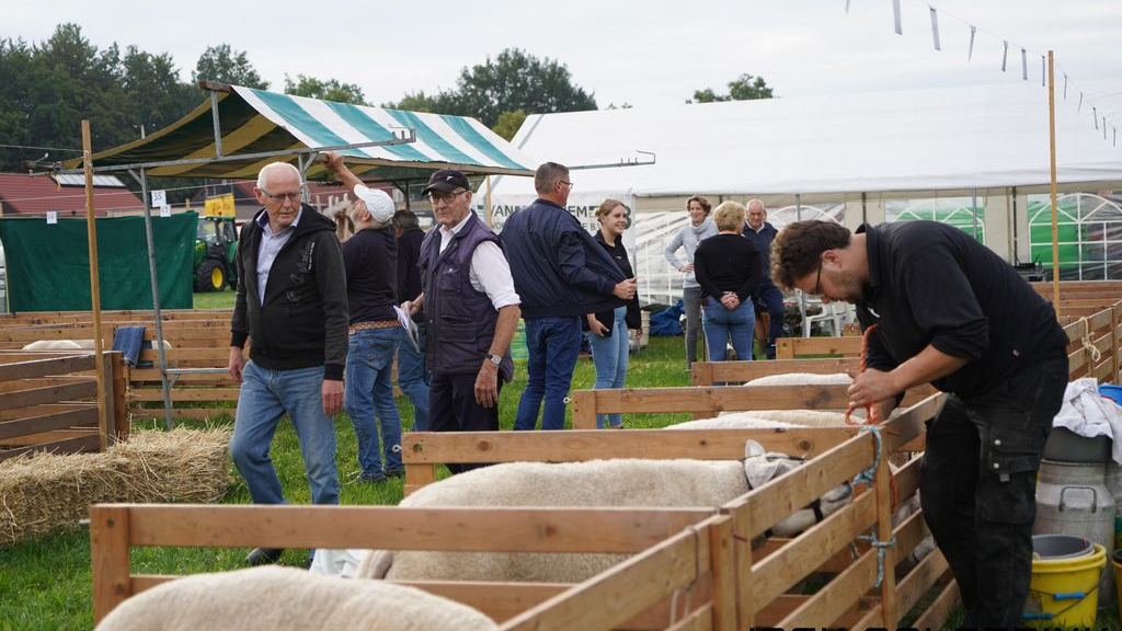 Foto: De Schapenmarkt, een fantastische dag