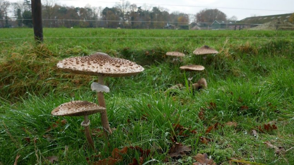 Foto: Grote kans op warm weer eind september en begin oktober
