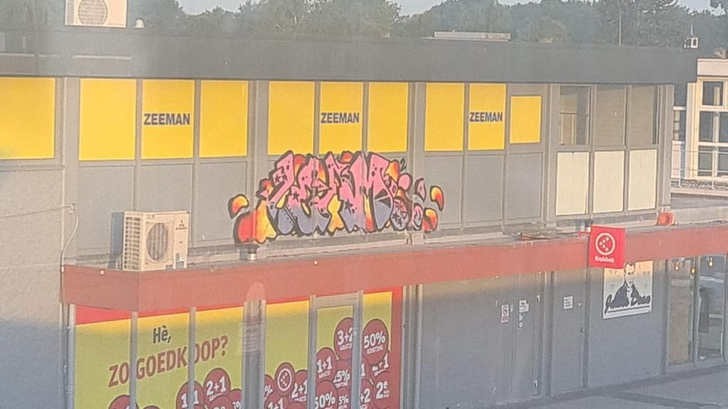 Foto: Graffitispuiter gezocht