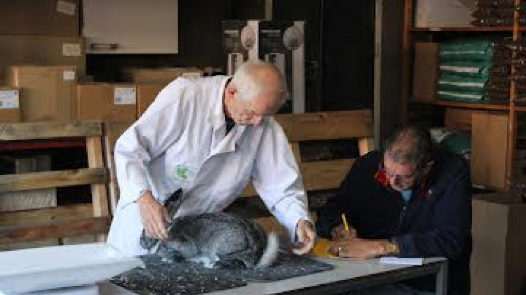 Foto: Kleindierententoonstelling trekt veel publiek