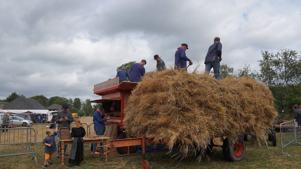 Foto: Geen Oogstfeest in verband met de hoge temperaturen
