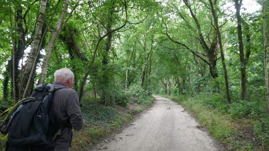 Foto: Wandelt u gezellig mee?