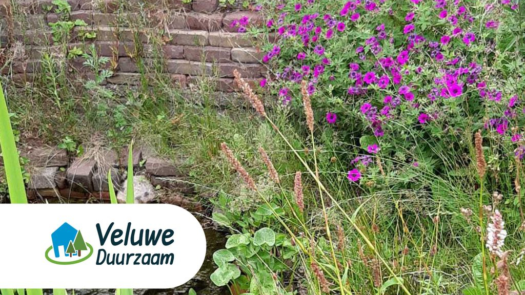 Foto: Tuin aanpakken? Vraag tuinsubsidie aan!