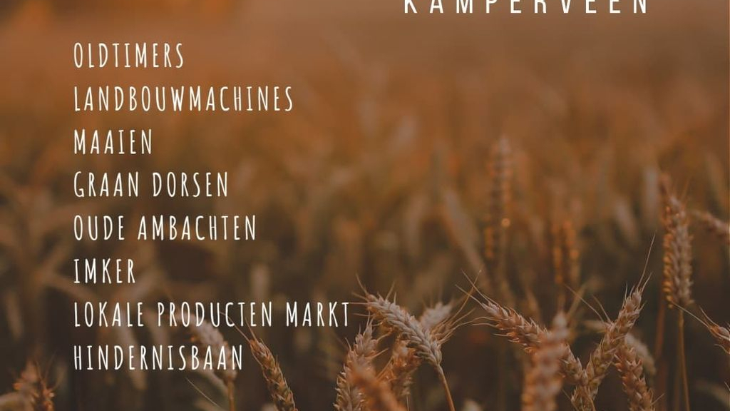 Foto: Oogstdag Kamperveen zoekt deelnemers