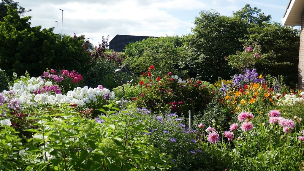 Foto: Een bloementuin vol kleuren