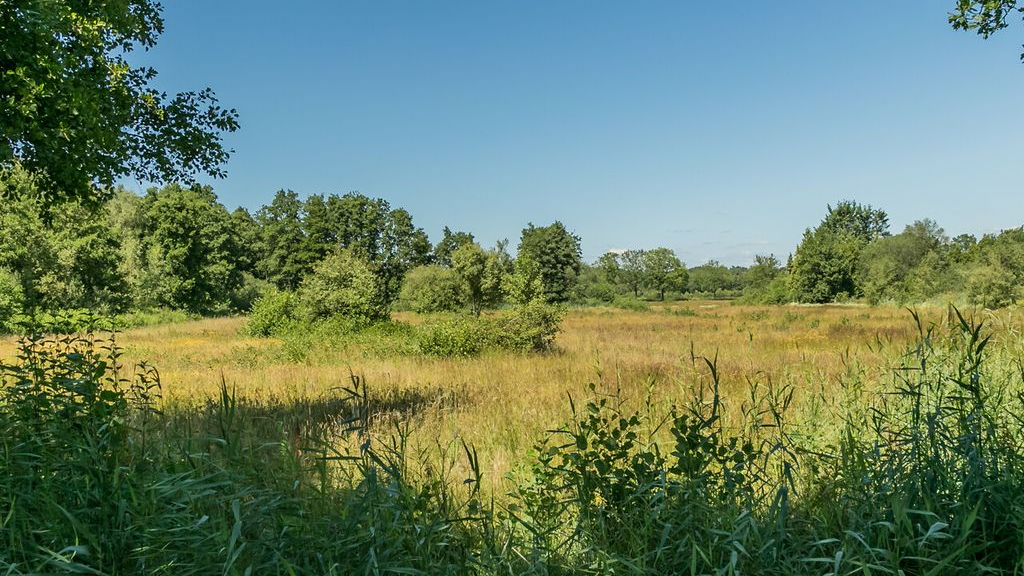 Foto: Lange dagwandeling, Tongerense Heide en Wisselse Veen