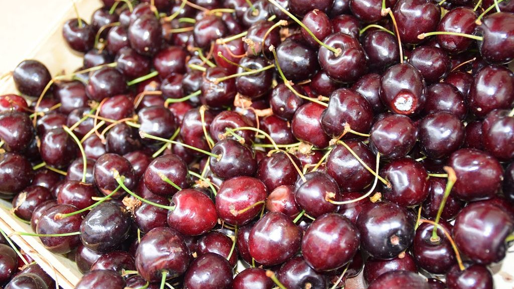 Foto: Kom, beleef en laat je betoveren door Hollands zachtfruit!