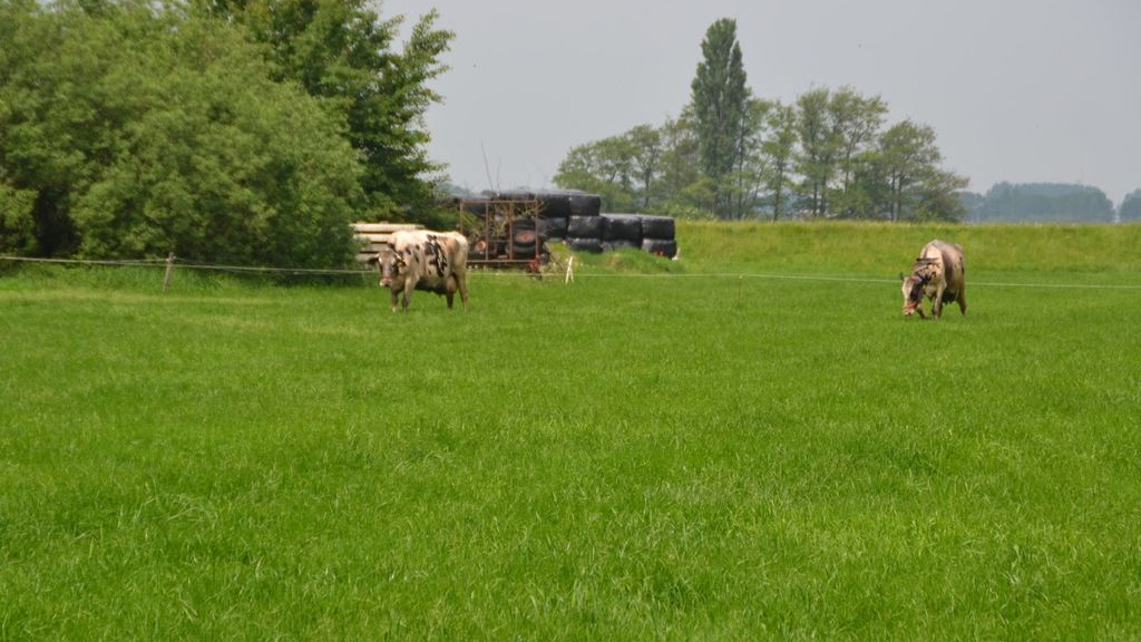 Foto: Ingezonden: Waarom boeren  protesteren