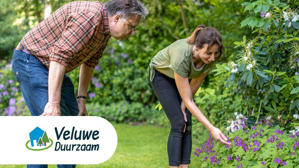 Foto: Tips voor een groene tuin