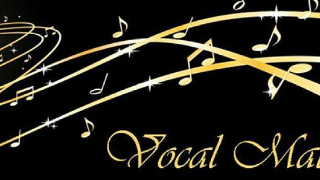 Foto: Vocal Match, een bijzonder koor
