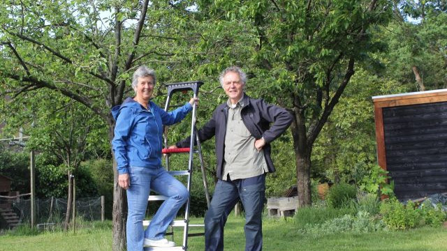 Foto: Milieu- en natuurvereniging Groentje biedt hoogstamfruitbomen aan