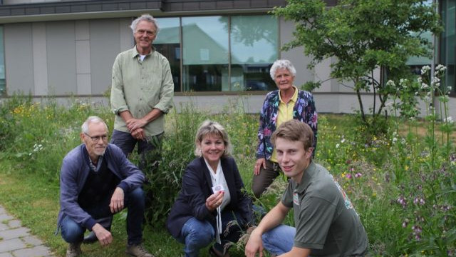 Foto: Burgemeester Haseloop doet mee aan zonnebloemenactie