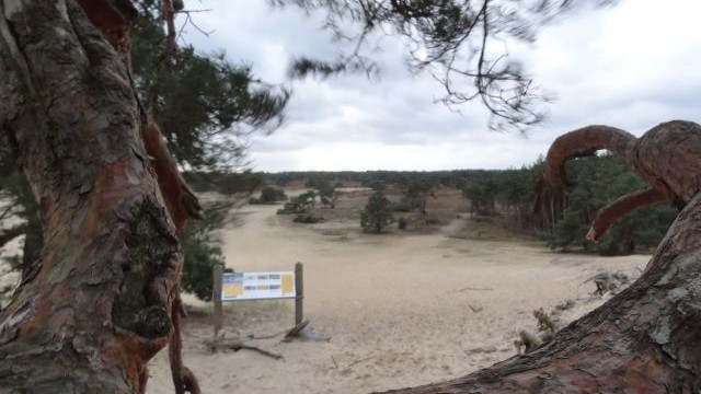 Foto: Recreatiezoneringsplan Veluwe vastgesteld