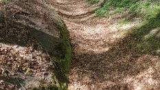 Foto: Waterschap Vallei en Veluwe stelt onttrekkingsverbod oppervlaktewater in