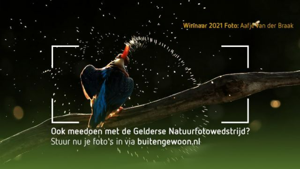 Foto: Gelderse Natuurfotowedstrijd 2022 gaat van start
