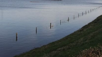 Foto: Vanaf 1 mei weer zwemmen in natuurwater