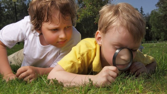 Foto: Kinderontdekkingstocht De Dellen