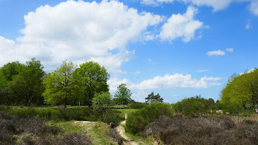 Foto: Bezorgd over kwaliteit gebied en natuur op de Noord-Veluwe